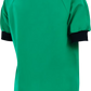 Alsico Shirt Andreas Groen Achteraanzicht